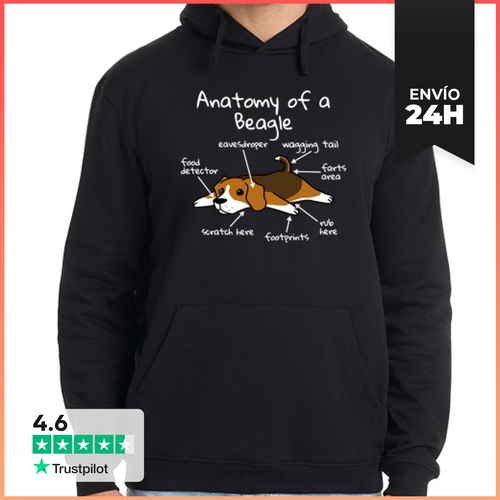 Sudadera Unisex Con Capucha Anatomía De Un Perro Beagle - latostadora.com - Modalova