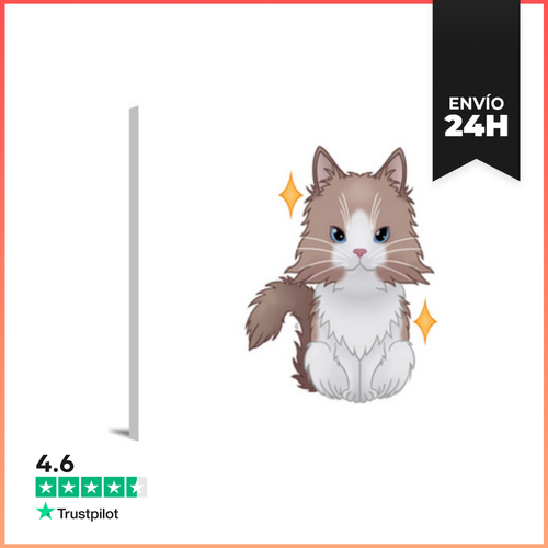 Lienzo Horizontal Ragdoll Bicolor LaTostadora - latostadora.com - Modalova