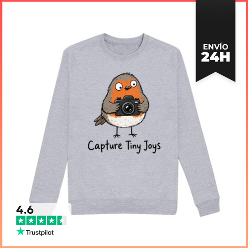 Sudadera Unisex Robin Holding A Camera Capture Tiny Joys Original - latostadora.com - Modalova