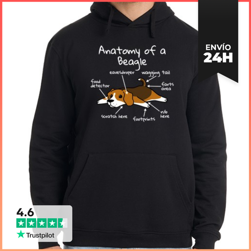Sudadera Unisex Con Capucha Anatomía De Un Perro Beagle - latostadora.com - Modalova