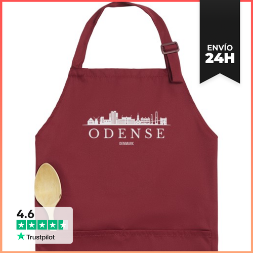 Delantal Premium Con Bolsillo Horizonte De Odense, Odense - latostadora.com - Modalova