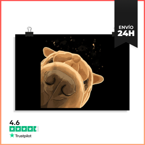 Póster Horizontal Perro Gracioso Shar Pei LaTostadora - latostadora.com - Modalova