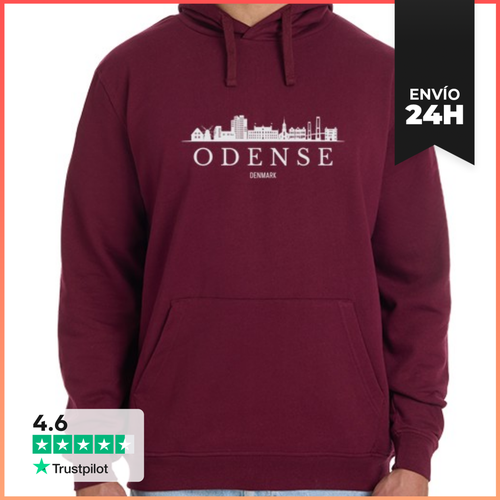 Sudadera Unisex Con Capucha Horizonte De Odense, Odense Dinamarca - latostadora.com - Modalova