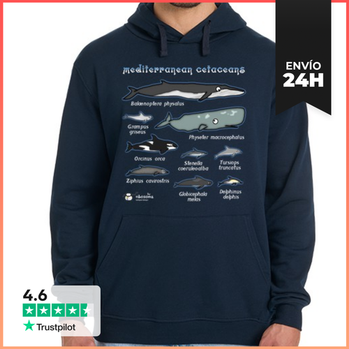 Sudadera Unisex Con Capucha Mediterranean Cetaceans Científico - latostadora.com - Modalova