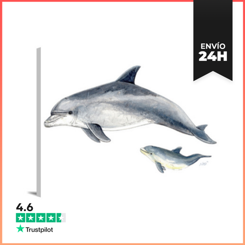 Lienzo Horizontal Lienzo Delfin Mular LaTostadora - latostadora.com - Modalova