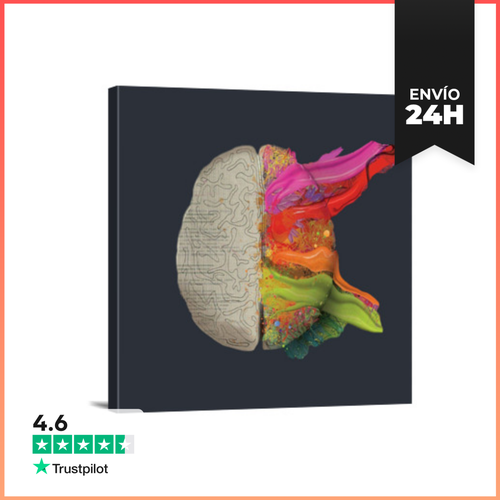 Lienzo Cuadrado Lienzo Cuadrado 1:1 - (40 X 40 Cm) LaTostadora - latostadora.com - Modalova