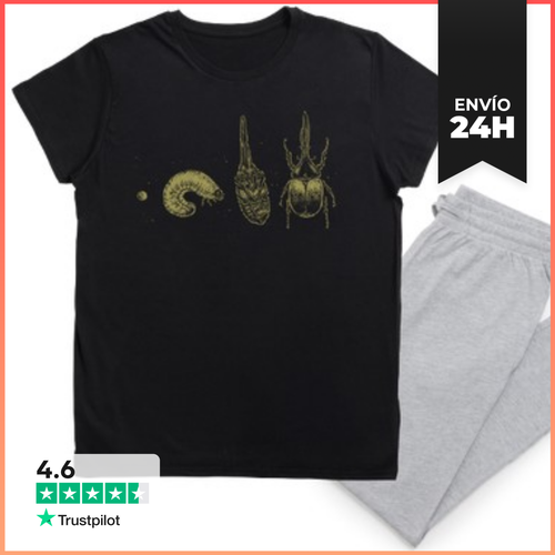 Pijama Beetle Life Cycle LaTostadora - latostadora.com - Modalova
