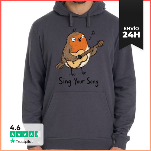 Sudadera Unisex Con Capucha Robin Playing Guitar And Singing - latostadora.com - Modalova