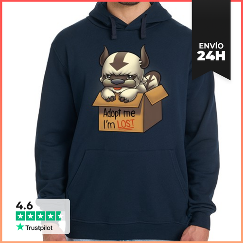 Sudadera Unisex Con Capucha Adopt Appa - Avatar Last Airbender - latostadora.com - Modalova
