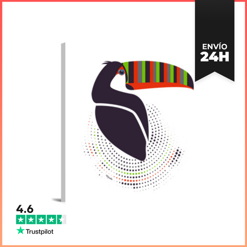 Lienzo Cuadrado Toucan L LaTostadora - latostadora.com - Modalova