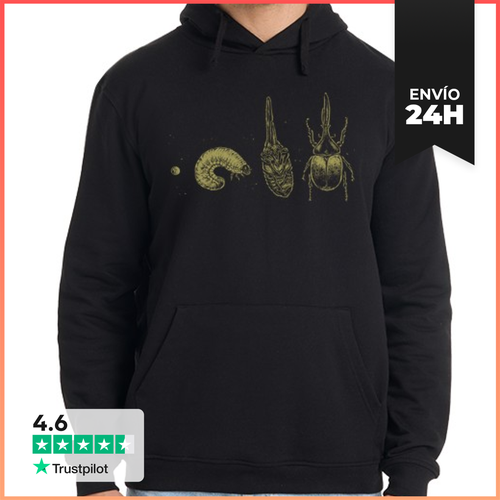 Sudadera Unisex Con Capucha Beetle Life Cycle LaTostadora - latostadora.com - Modalova