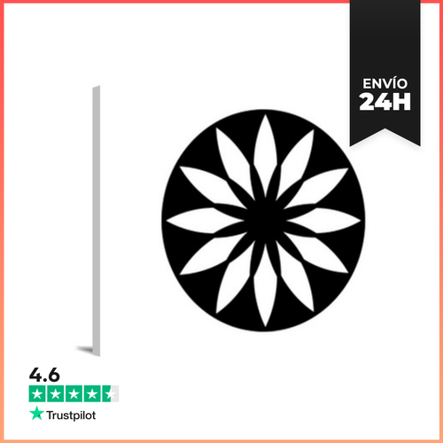 Lienzo Horizontal Mandala De Círculo De Cultivo De Flor E - latostadora.com - Modalova