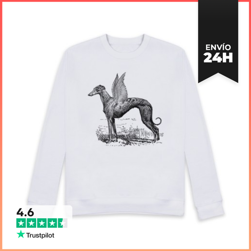 Sudadera Unisex Greyhound Divine LaTostadora - latostadora.com - Modalova