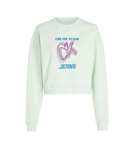 J20J222344 Sweatshirt Relaxed Logo (M), Casuel, Vert, Polyester - Calvin Klein Jeans - Modalova