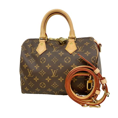 Handbag (Pre-Owned) - Louis Vuitton - Modalova