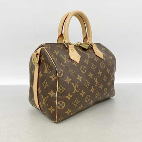 Handbag (Pre-Owned) - Louis Vuitton - Modalova