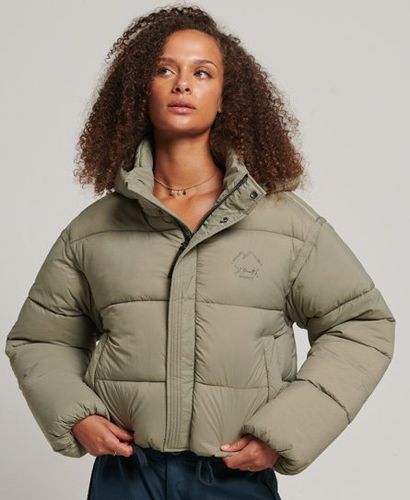 Women's Cropped Cocoon Puffer Jacket Khaki / Light Khaki - Size: 12 - Superdry - Modalova