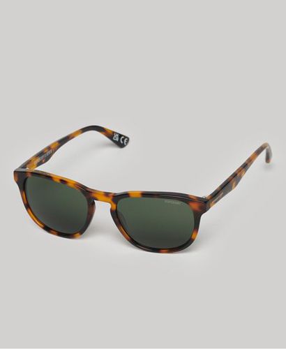 Women's Sdr Camberwell Sunglasses Brown / Tort/Vintage Green - Size: 1SIZE - Superdry - Modalova