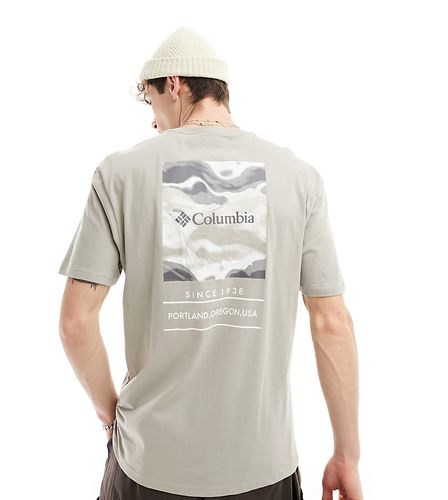 Barton Springs - T-shirt grigia con stampa sul retro - In esclusiva per ASOS - Columbia - Modalova
