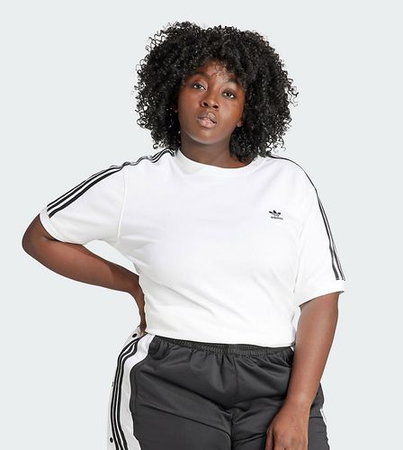 Adidas Plus - T-shirt bianca con 3 strisce - adidas Originals - Modalova