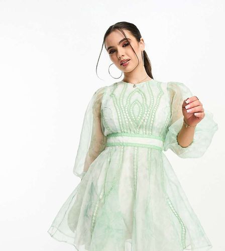 ASOS DESIGN Petite - Vestito skater corto in organza verde ricamato con inserto in pizzo - ASOS Petite - Modalova