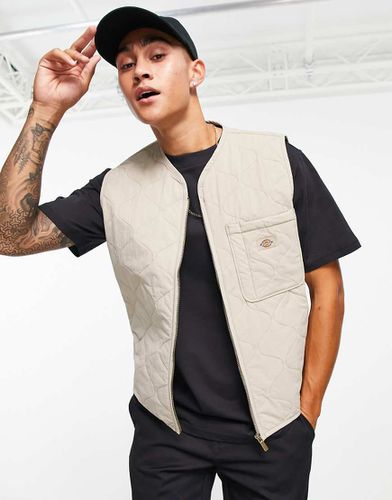 Thorsby - Gilet foderato beige - Dickies - Modalova