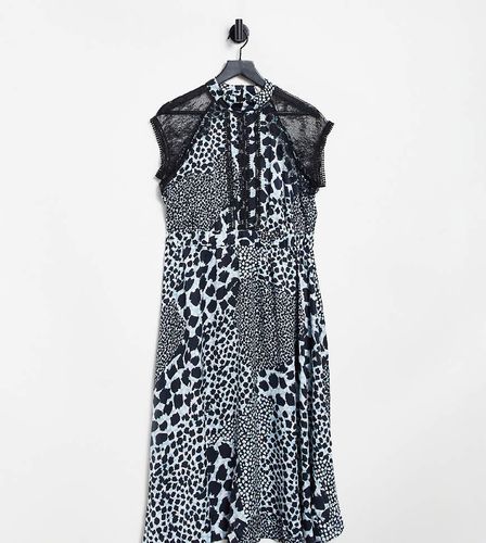 Vestito midi svasato in pizzo con stampa animalier - Liquorish Tall - Modalova