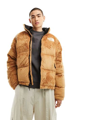 Nuptse Versa - Piumino beige - The North Face - Modalova