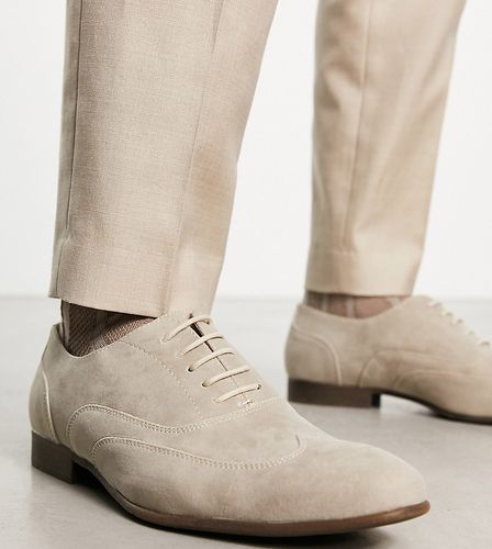 Scarpe Oxford stringate a pianta larga in camoscio sintetico color sabbia - Truffle Collection - Modalova