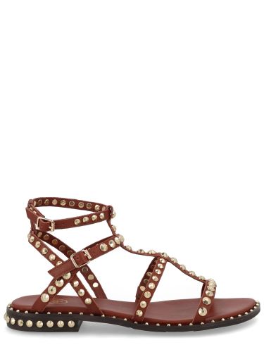 Ash sandalo "gladiator" - ash - Modalova