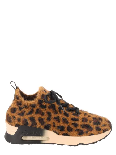 Ash sneaker "lurce" - ash - Modalova