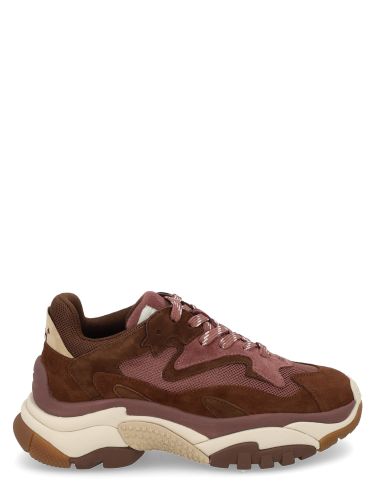 Ash sneaker "addict" - ash - Modalova