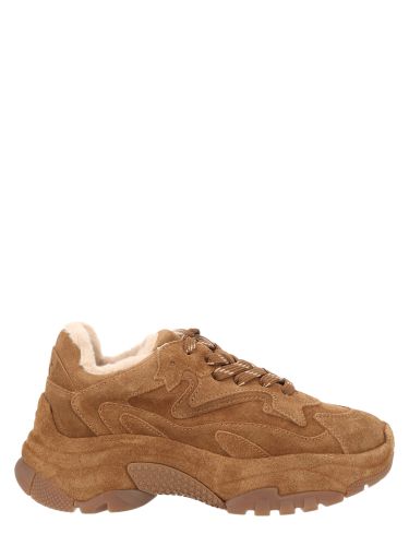 Ash sneaker "addict bis fur" - ash - Modalova