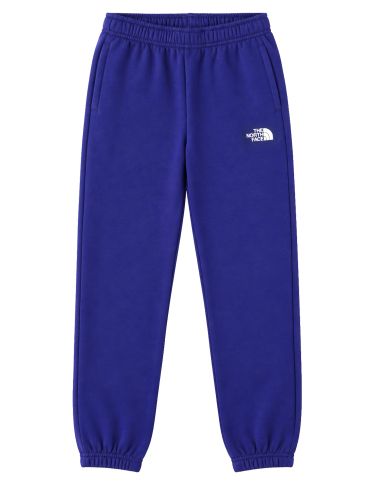 Joggers evolution simple dome - the north face - Modalova