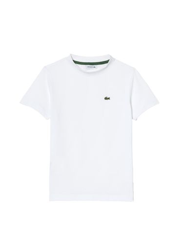 Lacoste t-shirt - lacoste - Modalova