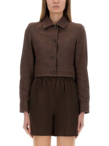Max mara "carp" jacket cotton - max mara - Modalova