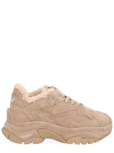 Ash "addict bis fur" sneaker - ash - Modalova