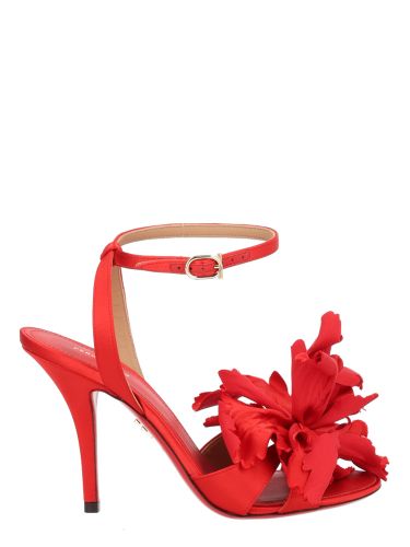 Ferragamo heeled sandal - ferragamo - Modalova