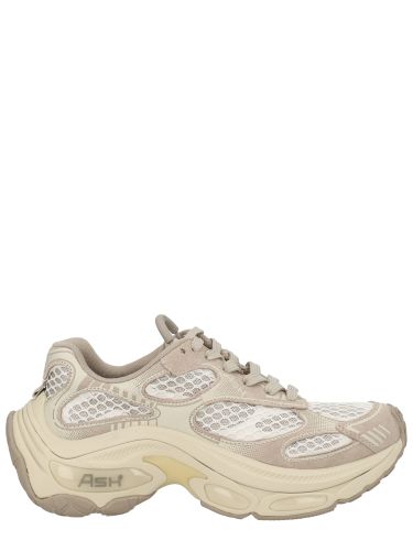Ash "dragon" sneaker - ash - Modalova