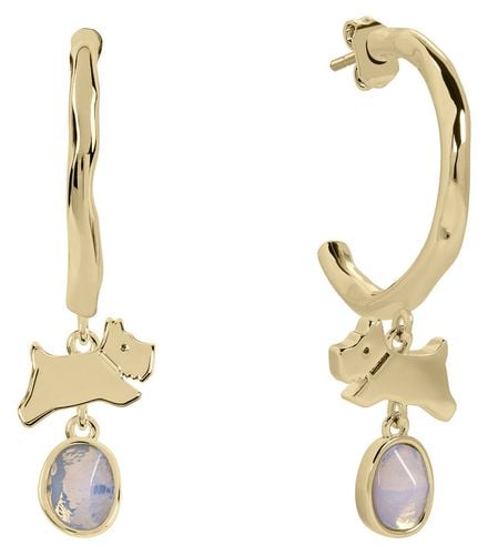 Radley Sloane Street Moonstone Hoop Jewellery - Radley Jewellery - Modalova