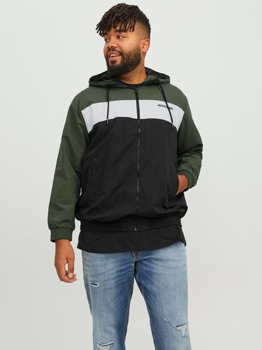 Plus Size Bomber Jacket - Jack & Jones - Modalova