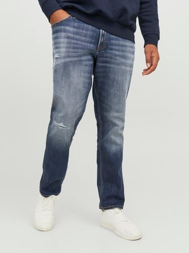 Plus Size Jjiglenn Jjoriginal Ge 410 Pls Vaqueros De Corte Slim - Jack & Jones - Modalova