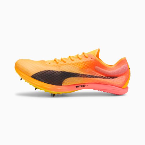 Evospeed Distance Nitro™ Elite+ 4, //, size 10 - PUMA - Modalova