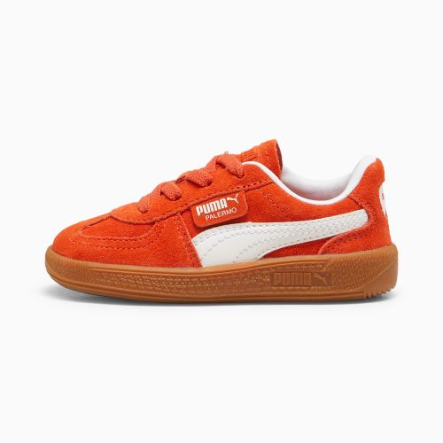 Palermo Sneakers Baby Schuhe Für Herren, /, Größe: 20, Schuhe - PUMA - Modalova