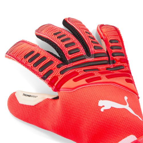 FUTURE Pro Hybrid Torwarthandschuhe Unisex, Accessoires, , 9.5 - PUMA - Modalova