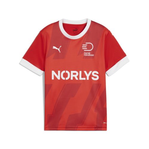 Camiseta juvenil de balonmano Dinamarca local, Ropa, Rojo, 1-2Y - PUMA - Modalova