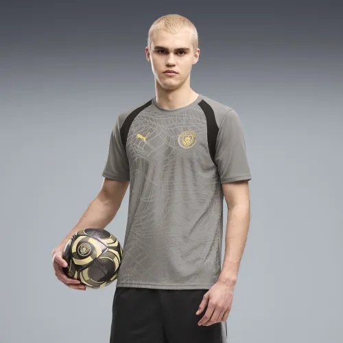 Manchester City Slim Training Jersey Men in Gray (/) | Size Large - PUMA - Modalova
