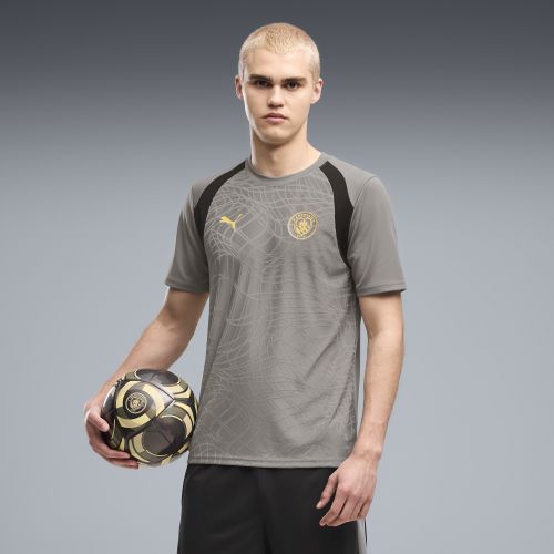 Manchester City Slim Training Jersey Men in Gray | Size Large - PUMA - Modalova