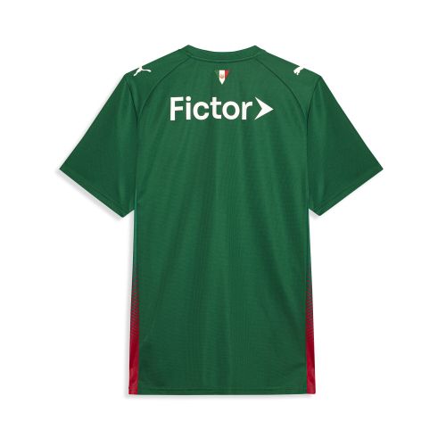 Maglia Home Palmeiras Torced 2026 da uomo, Accessori, Verde, XS - PUMA - Modalova