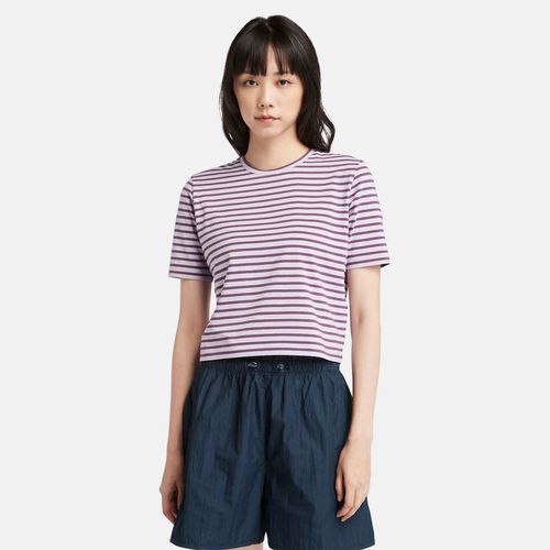 Stripe Baby T-shirt Mit Logo Für Damen In Violett Violett, Größe M - Timberland - Modalova